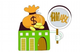 庆元对付老赖：刘小姐被老赖拖欠货款